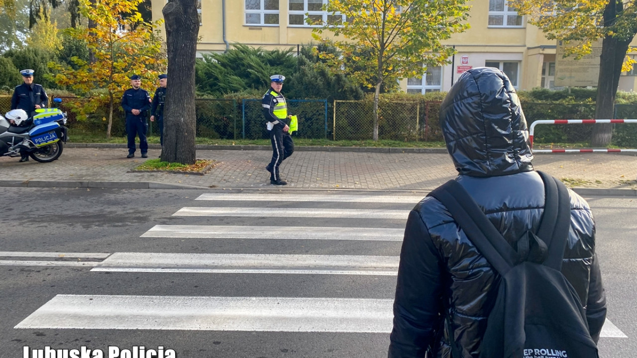 Wspólne działania policjantów dla bezpieczeństwa pieszych