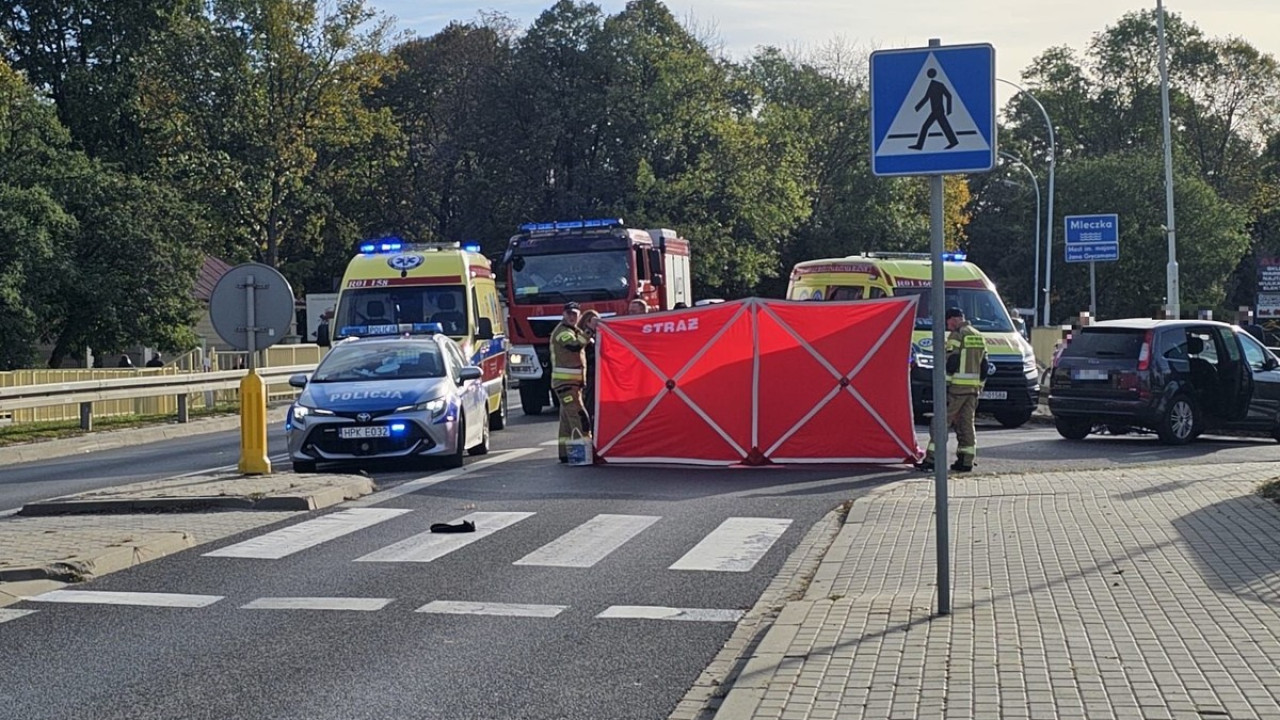 Kierowca na przejściu dla pieszych potrącił mężczyznę z dwójką dzieci – jedno z nich nie żyje