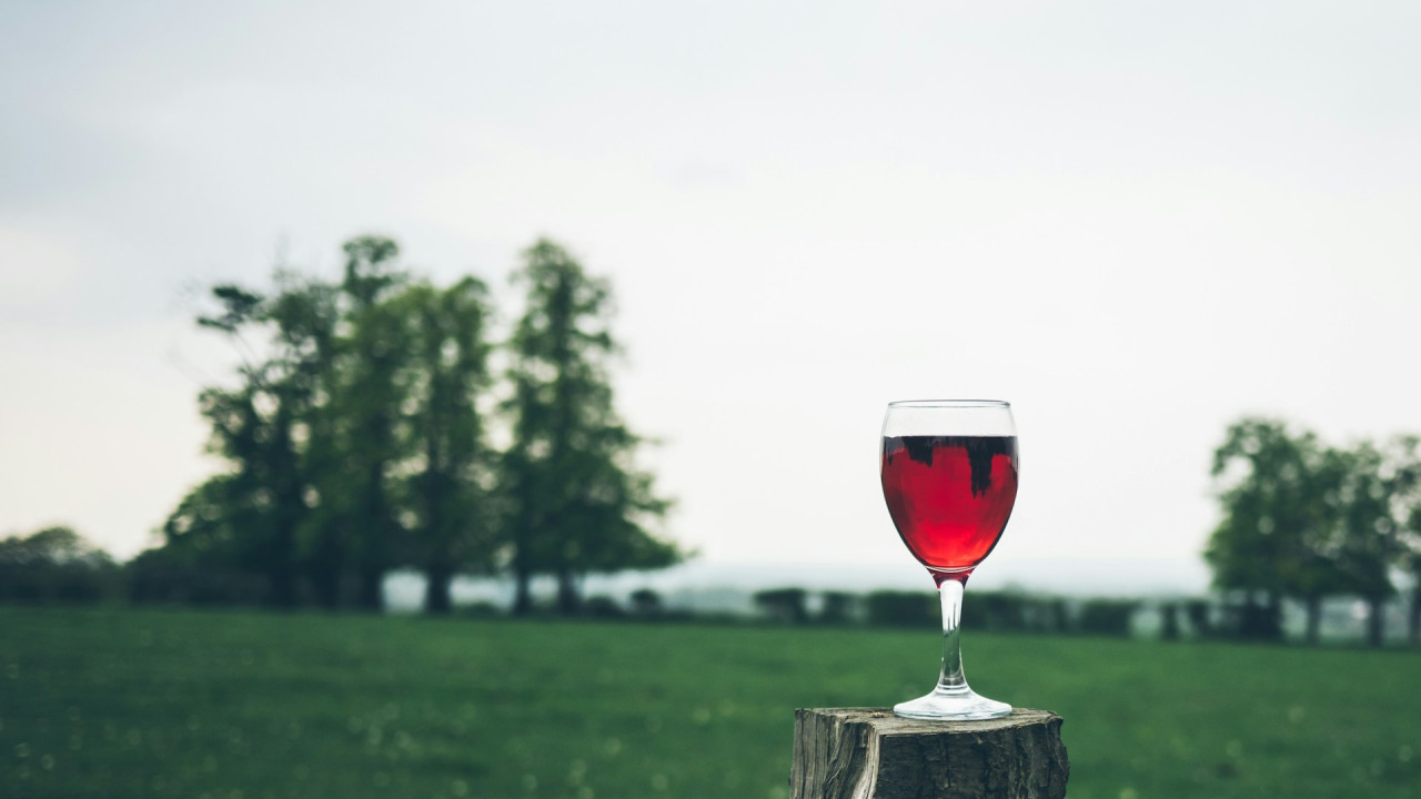 Egzamin na prawo jazdy po alkoholu: zaskakujący dodatkowy test