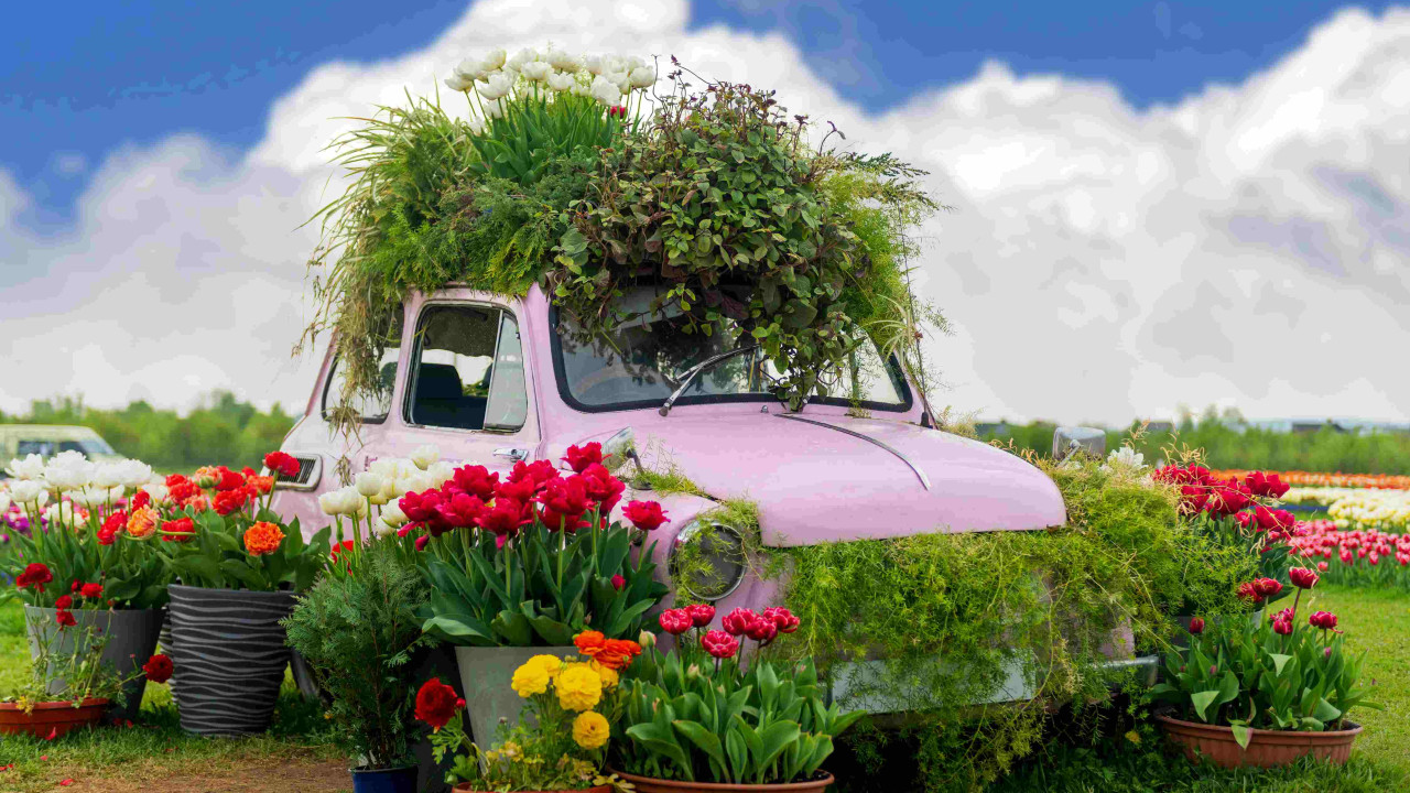 Sprawdź, czy rozpoznasz te kultowe samochody z PRL-u!