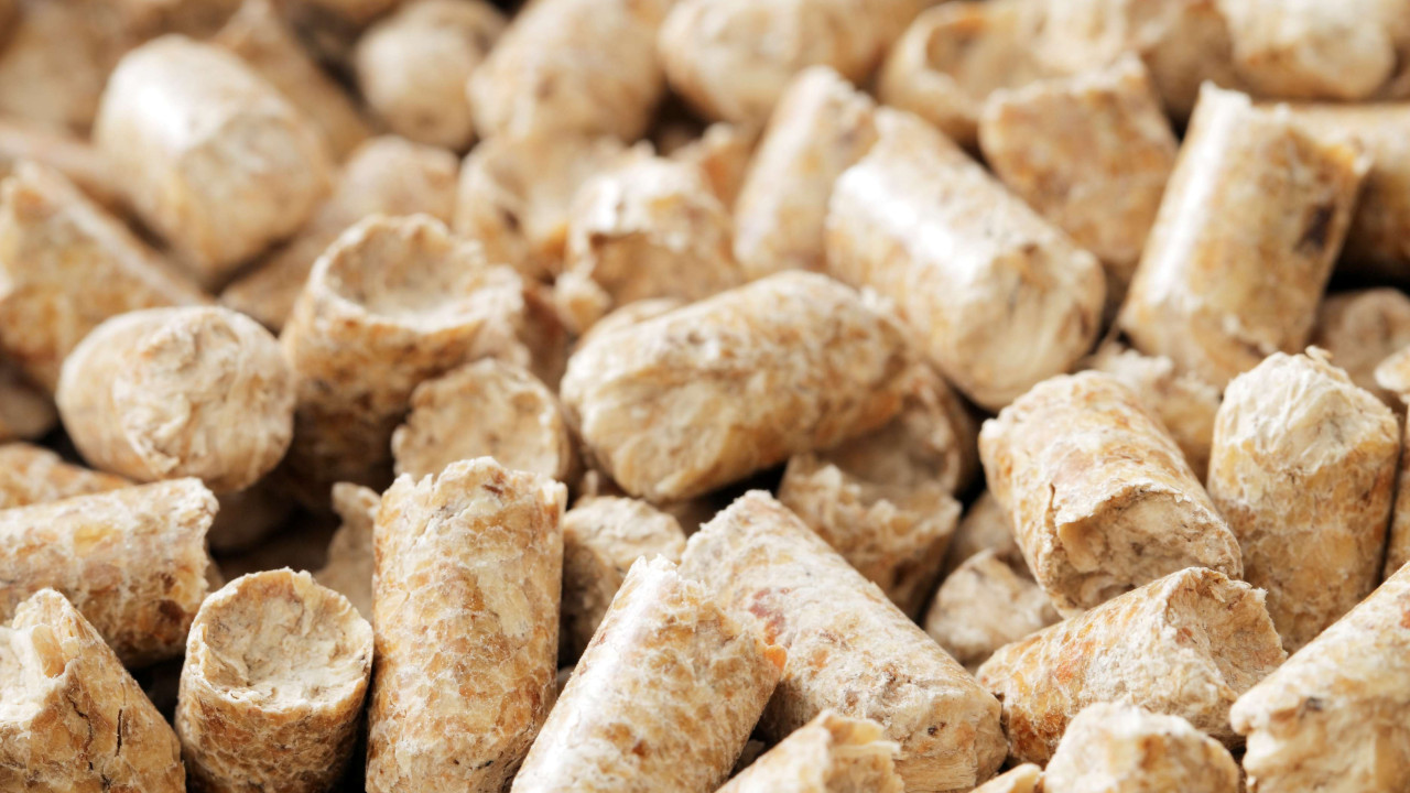 Drewno, pellet czy gaz: które ogrzewanie obniży twoje rachunki?