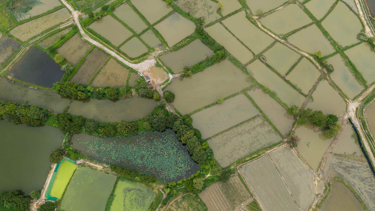 Nowa droga nad Bałtyk: koniec z największymi korkami dla kierowców