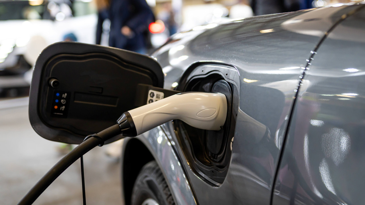 Nowa hybryda zaskakuje jakością i ceną w Polsce