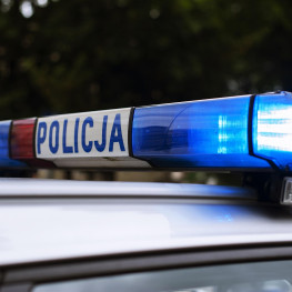 policja