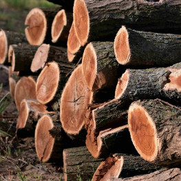 Jak szybko i bezpiecznie rąbać drewno na zimę bez łuparki