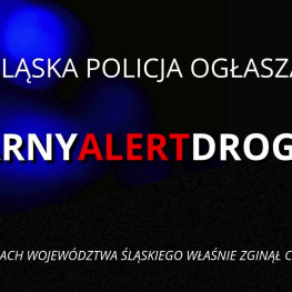 Ilustracja do artykułu: 51-letni rowerzysta zginął po potrąceniu na przejściu w Tychach