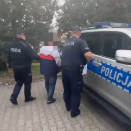 Ilustracja do artykułu: Kierowca przewozu osób jechał mimo zakazu. Policja odkryła rozbieżność w PESEL