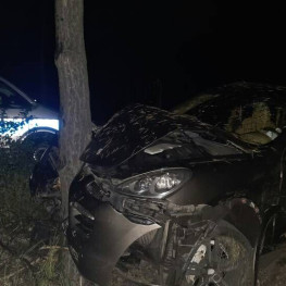 iPhone zgłosił zderzenie Porsche z drzewem. Kierowca miał ponad 2 promile