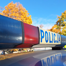 Ilustracja do artykułu: Jesienią droga hamowania się wydłuża. Policja apeluje o wolniejszą jazdę i odblaski