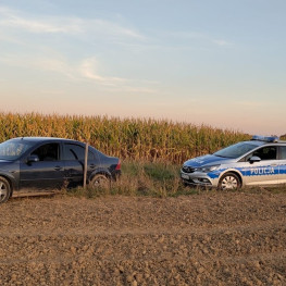 Ilustracja do artykułu: Uciekł Fordem przed kontrolą i schował się na mokradłach. Policja użyła drona