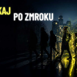 Ilustracja do artykułu: Pieszy bez odblasku po zmroku może dostać 100 zł mandatu. Policja przypomina zasady