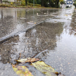 Mokra jezdnia i liście wydłużają hamowanie. Policja apeluje o ostrożność jesienią