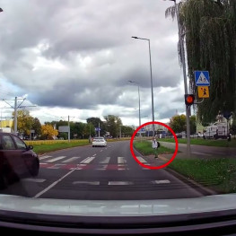 Ilustracja do artykułu: Nagrania z przejść trafiły do policji. Kierowcy wyprzedzali i nie ustępowali pieszym