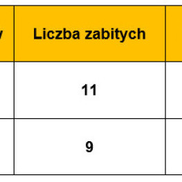 Ilustracja do artykułu: Mniej wypadków z udziałem motocyklistów. Policja podała dane za dziewięć miesięcy