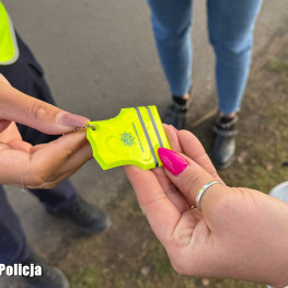 Ilustracja do artykułu: Po zmianie czasu szybciej zrobi się ciemno. Policja przypomina o odblaskach