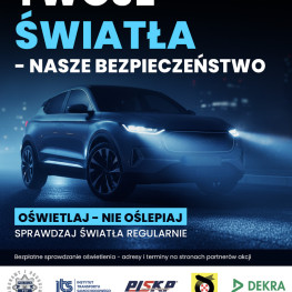 Ilustracja do artykułu: Kierowcy sprawdzą światła za darmo. Policja podała cztery terminy