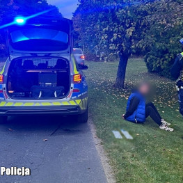 Ilustracja do artykułu: Kierowca Renault miał ponad 3 promile, zakaz i tablice z innego auta. Uciekał przed policją