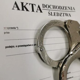 Ilustracja do artykułu: Ukradł Nissana i biżuterię. W aucie policjanci znaleźli skradzionego psa