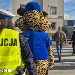 Ilustracja do artykułu: Policja ruszyła z akcją „Nie testuj pierwszeństwa”. Komunikaty pojawią się w autobusach