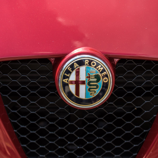 alfa