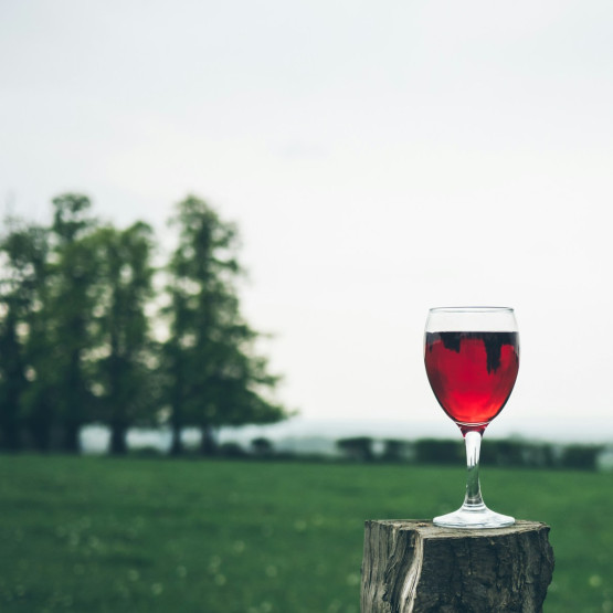 alkohol