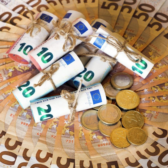 pieniądze w walucie euro