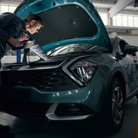 Renault Clio V6 z niskim przebiegiem na sprzedaż w Polsce - wysoka cena