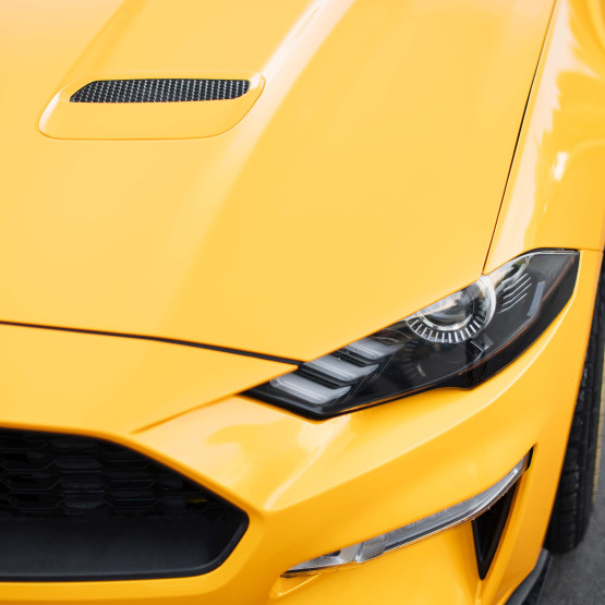 mustang