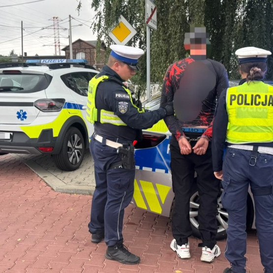 Policjanci z zatrzymanym kierowcą, źródło: slaska.policja.gov.pl