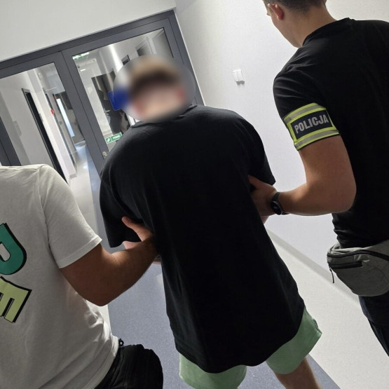 Policjant prowadzący zatrzymaną osobę w sprawie rozpoczętej od kontroli Tesli. Fot. slaska.policja.gov.pl