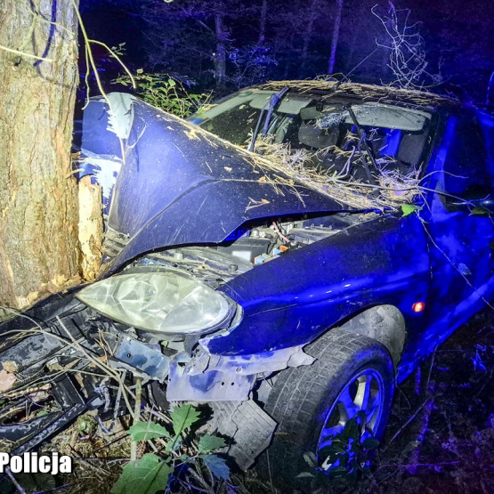 Renault po zakończeniu policyjnego pościgu w powiecie żagańskim, źródło: lubuska.policja.gov.pl