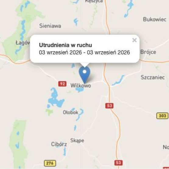 Zrzut ekranu mapy z zaznaczonym miejscem utrudnienia na drodze 92b, 47. kilometr odcinka Torzym–Trzciel. Źródło: drogi.gddkia.gov.pl