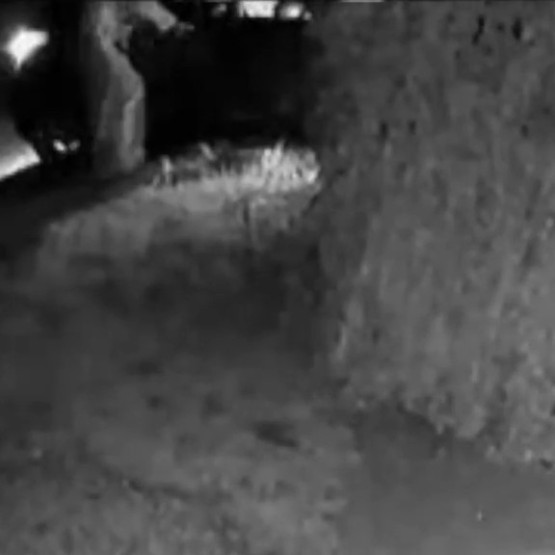 Pijana 21-latka wjechała Suzuki w ogrodzenie. Zamiana miejsc nie zmyliła policjantów