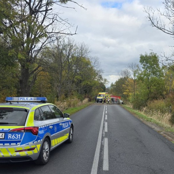 Radiowóz i służby na drodze między Włodowicami a Rzędkowicami po śmiertelnym wypadku. Fot. zawiercie.policja.gov.pl